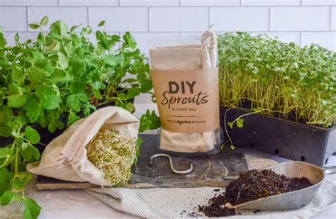 Seeds Of Change Transform Your Health With Diy Sprout Grow Kits