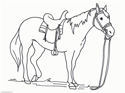 Big Printable Coloring Pages Horses Coloring Pages For