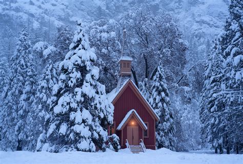 Wallpaper Winter Trees Snow Yosemite National Park