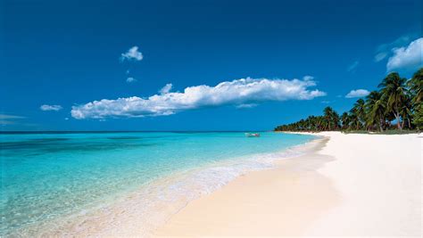Best Beaches Of Punta Cana Dominican Republic Experience Caribbean