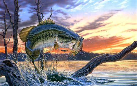 Free Download Largemouth Bass Fishing Wallpaper Screensaver Flipped