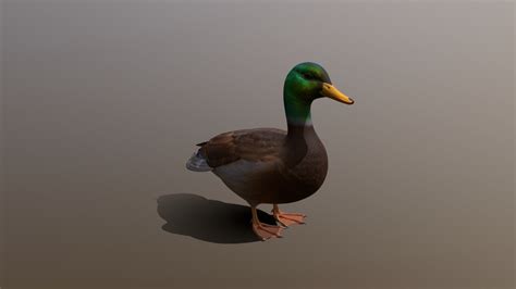 duck download free 3d model by aium2 yapoco [1ef9092] sketchfab
