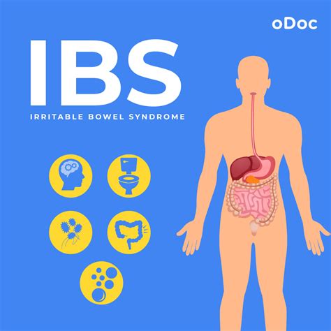 Irritable Bowel Syndrome Ibs Odoc