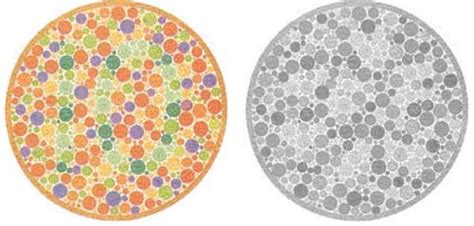 Color Blindness Test Ultimate Edition