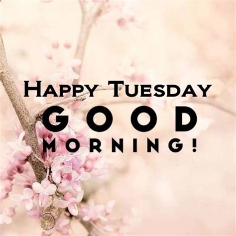 Good Morning Wishes On Tuesday Pictures Images