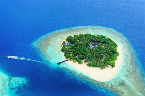 Tropical Island In The Maldives Insight Guides Blog