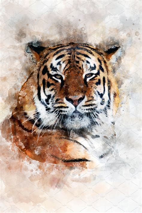 Tiger Watercolor Illustration Port Watercolor Tiger Tiger Painting