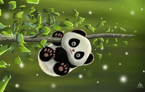 Red Panda Anime Wallpapers On Wallpaperdog