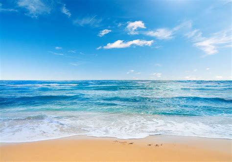 Mme Beach Photography Backdrops Sea Blue Sky Background Polyester