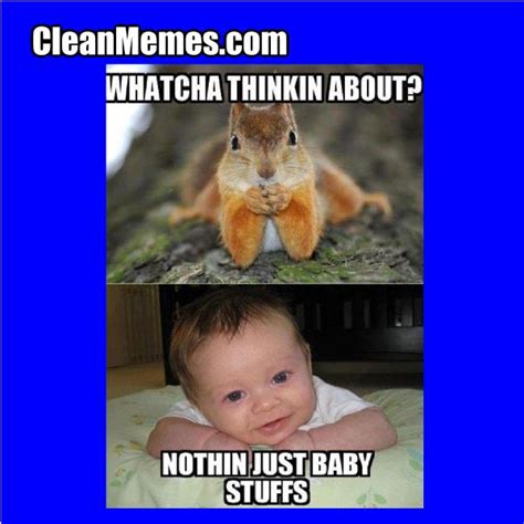 Funny Clean Memes For Kid Friendly Memes Funny Memes Mania