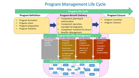Program Management Ist Project Management Office