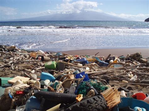 Tourism Takes Action On Plastic Waste And Pollution