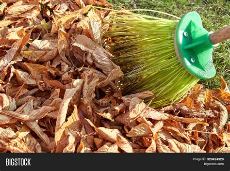 Sweeping Dry Leaves Image And Photo Free Trial Bigstock