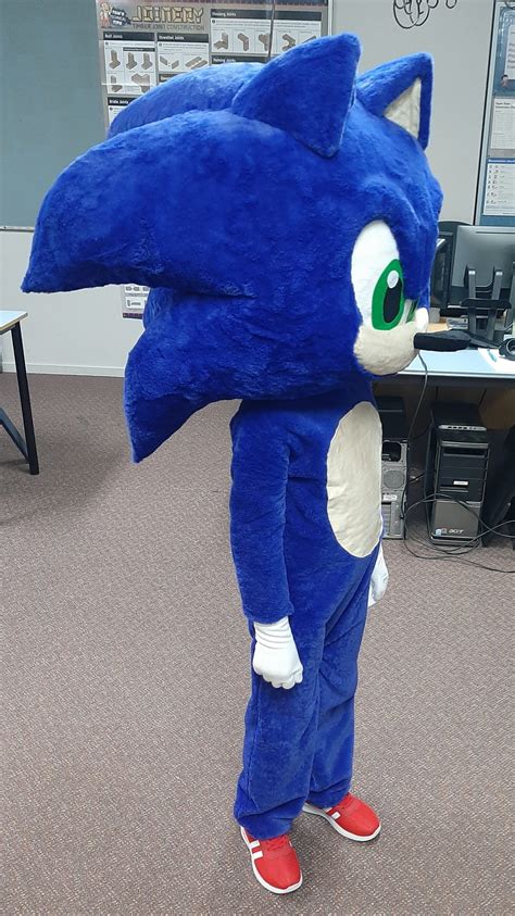 Coolest Ever Homemade Sonic Costume For A Boy