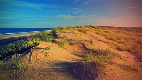 🥇 Beach Dunes Wallpaper 15222