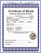 Death Certificate Template