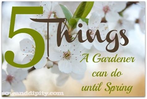 5 Things A Gardener Can Do Indoors Until Spring Garden Planning