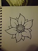 Beautiful Flowers : How To Draw Flowers Step By Step With Pictures ...