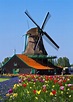Holland windmill by Blue Sky | Holland windmills, Netherlands travel ...