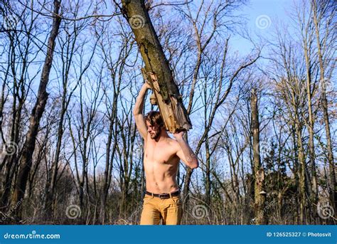 Lumberjack Or Woodman Naked Muscular Torso Gathering Wood Man Brutal