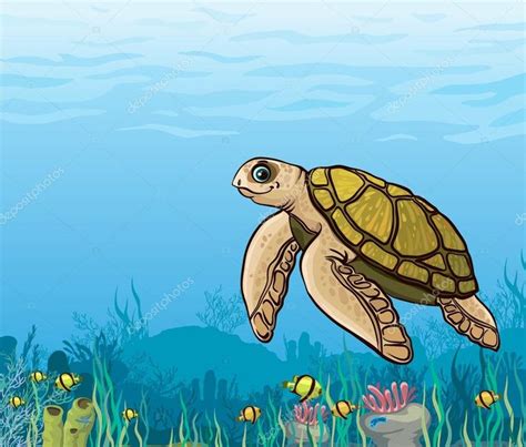 Turtle Images Cartoon Sea Turtle Turtle