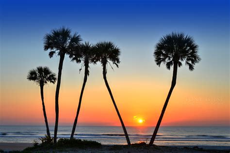 Tony Giese Professional Photographer Daytona Beach Florida