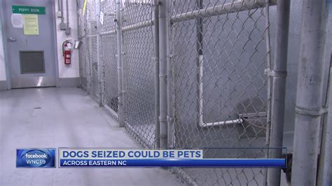 Animal Shelter In The East Working To Reunite Pets With Families After