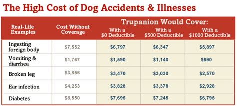 Pickup of your pet, return of their ashes in an wood urn, and more. The cost of dog veterinary medicine chart | Pet insurance ...