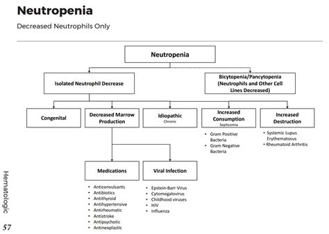 Causes Of Isolated Neutropenia Differential Diagnosis Grepmed