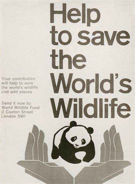 How The World Wildlife Fund Logo Was Designed Creative Review