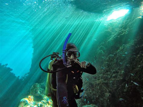 New Zealand Scuba Diver Life