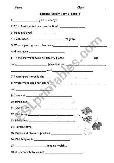 Usually grade 2 is our last full year of this form of. English worksheets: Science Review Grade 2