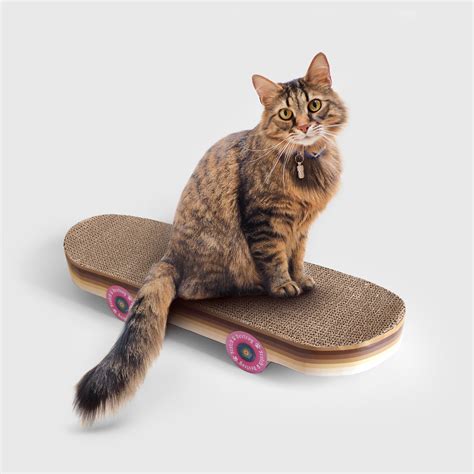 Cat Scratch Skateboard Cool Carboard Cat Scratcher