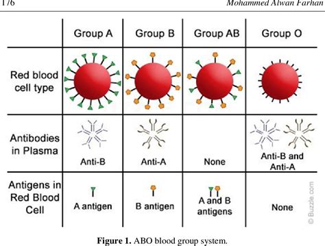 Figure 1 From The Basic Concepts Of The Effect Of Rhesus Rh Factor On