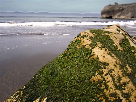 Free Images Beach Landscape Sea Coast Nature Outdoor Sand Rock