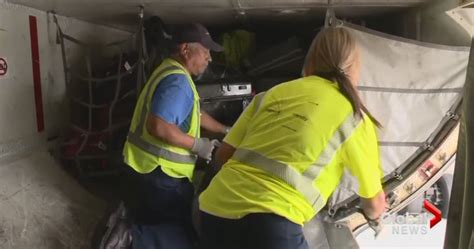 United Airlines Baggage Worker Spends Flight Trapped In Cargo Hold