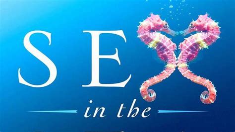 Review ‘sex In The Sea By Marah J Hardt Miami Herald