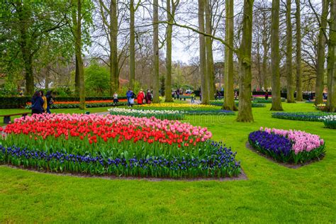 Tuilps And Other Flowers In Keukenhof Park Lisse Holland Netherlands