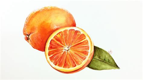 Watercolor Oranges Painting Demonstration Youtube