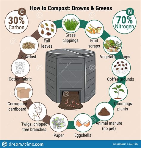 Infographic of Garden Composting Bin with Scraps. What To Compost