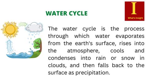 Water Cycle Definition And Simple Explanation Whats Insight