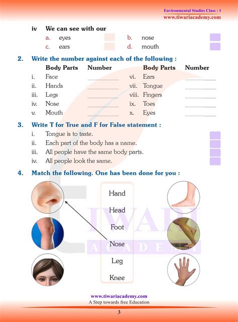 Ncert Solutions For Class Evs Chapter Our Body