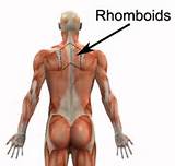 Pictures of Rhomboid Muscle Exercises To Strengthen