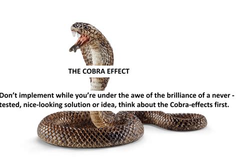 The Cobra Effect