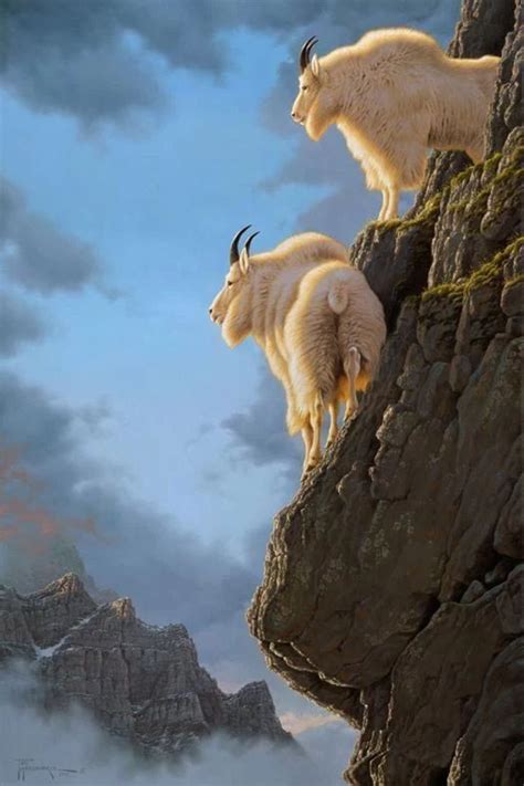 Mountain Goats 🌺🌻 For More Great Pins Go To Kaseybellefox Nature