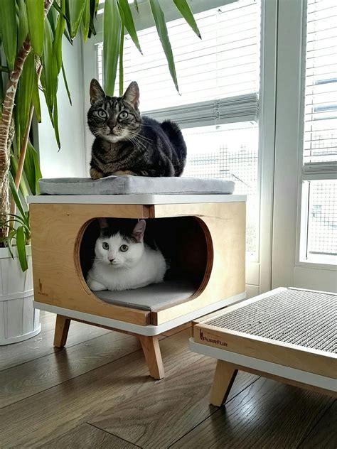 Modern Cat Bed Designs Perfectmypets