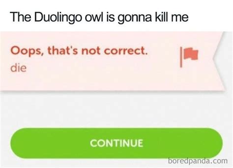 30 Hilarious Duolingo Memes Funny Text Messages Duolingo Memes