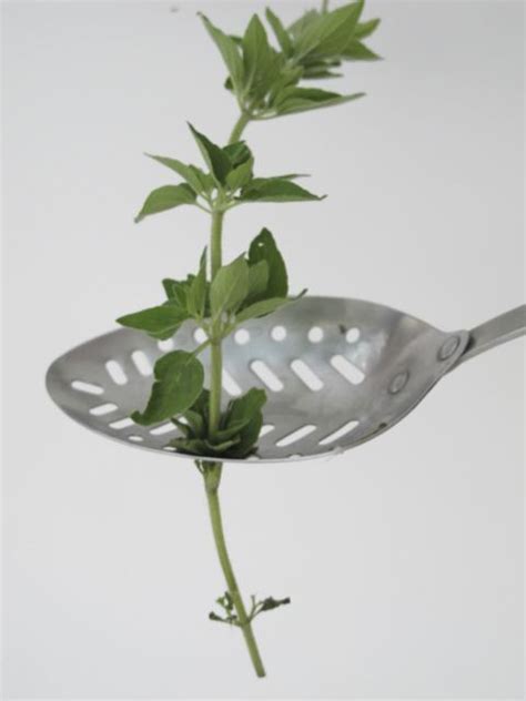 Remove Leaves From Fresh Herbs Pull The Stem Through A Slotted Spoon