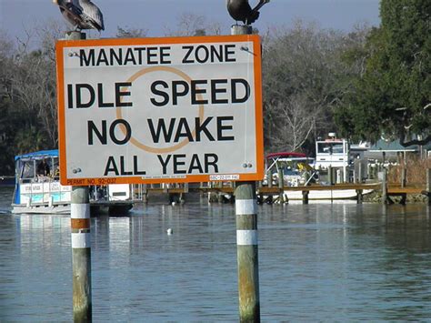Manatee Zone No Wake Flickr Photo Sharing