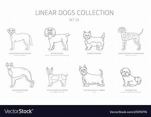 Simple Line Dogs Collection Isolated On White Dog Vector Image